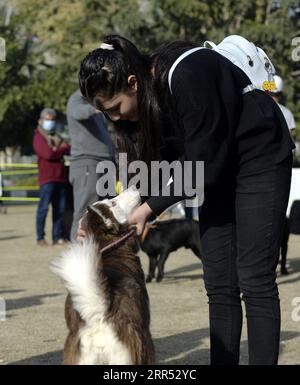 201220 -- RAWALPINDI, 20. Dezember 2020 -- Ein Mädchen interagiert mit ihrem Hund während der All Breed Dog Show in Rawalpindi in der pakistanischen Provinz Punjab am 20. Dezember 2020. Die All Breed Dog Show fand am Sonntag statt und zog viele Teilnehmer an, ihre Hunde zu zeigen. PAKISTAN-RAWALPINDI-HUNDESHOW AhmadxKamal PUBLICATIONxNOTxINxCHN Stockfoto