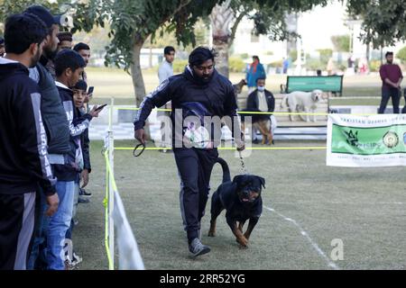 201220 -- RAWALPINDI, 20. Dezember 2020 -- Ein Mann nimmt am 20. Dezember 2020 an der All Breed Dog Show mit seinem Hund in Rawalpindi in der pakistanischen Provinz Punjab Teil. Die All Breed Dog Show fand am Sonntag statt und zog viele Teilnehmer an, ihre Hunde zu zeigen. PAKISTAN-RAWALPINDI-HUNDESHOW AhmadxKamal PUBLICATIONxNOTxINxCHN Stockfoto