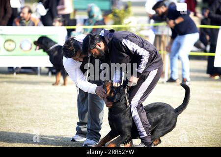 201220 -- RAWALPINDI, 20. Dezember 2020 -- Richter überprüfen einen Hund während der All Breed Dog Show in Rawalpindi der pakistanischen Provinz Punjab am 20. Dezember 2020. Die All Breed Dog Show fand am Sonntag statt und zog viele Teilnehmer an, ihre Hunde zu zeigen. PAKISTAN-RAWALPINDI-HUNDESHOW AhmadxKamal PUBLICATIONxNOTxINxCHN Stockfoto