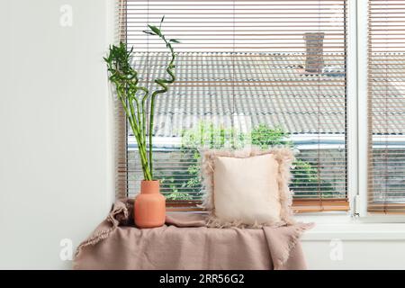 Vase mit Bambusstielen auf Fensterbank Stockfoto