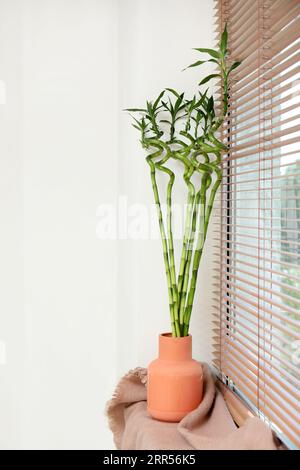 Vase mit Bambusstielen auf Fensterbank Stockfoto