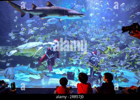 201225 -- PEKING, 25. Dezember 2020 -- Ein Taucher, Der als Weihnachtsmann verkleidet ist, ernährt eine Schildkröte während einer Vorstellung im Aquaria KLCC Aquarium in Kuala Lumpur, Malaysia, 23. Dezember 2020. Foto von /Xinhua XINHUA FOTOS DES TAGES ChongxVoonxChung PUBLICATIONxNOTxINxCHN Stockfoto