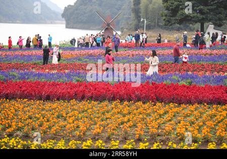 201227 -- GUANGZHOU, 27. Dezember 2020 -- Touristen genießen sich inmitten von Blumen im Shimen National Forest Park in Guangzhou, südchinesische Provinz Guangdong, am 26. Dezember 2020. CHINA-GUANGDONG-GUANGZHOU-TOURISM-FLOWERS CN DENGXHUA PUBLICATIONXNOTXINXCHN Stockfoto