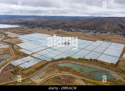 201229 -- YINCHUAN, 29. Dezember 2020 -- Luftaufnahme aufgenommen am 30. Oktober 2020 zeigt Gewächshäuser von Feng Yahong's Gemüseanpflanzungskooperative im Xiji County, NORDWESTCHINA Ningxia Hui Autonomous Region. Xihaigu, eines der ärmsten Gebiete Chinas in Ningxia, wurde am 16. November 2020 von der nationalen Armutsliste gestrichen. Der Sieg ist ein weiterer Meilenstein in Chinas Kampagne zur Beseitigung der absoluten Armut, bei der ihre Macht eine unverzichtbare Rolle spielte. Feng Yahong, eine 33-jährige Landfrau, die in der Region lebt, hat vielen einheimischen Frauen geholfen, pov zu beseitigen Stockfoto