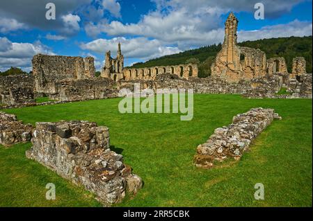 Byland Abbey Ruins, die zum 1. Grades zählende Cistercian Abbey in Rydale, North Yorkshire, ist eine historische Ruine im North Yorkshire Moors National Park Stockfoto