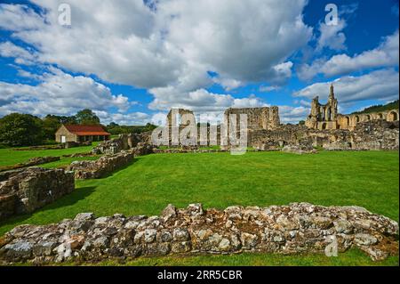 Byland Abbey Ruins, die zum 1. Grades zählende Cistercian Abbey in Rydale, North Yorkshire, ist eine historische Ruine im North Yorkshire Moors National Park Stockfoto