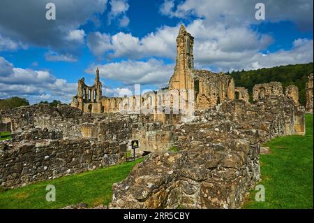 Byland Abbey Ruins, die zum 1. Grades zählende Cistercian Abbey in Rydale, North Yorkshire, ist eine historische Ruine im North Yorkshire Moors National Park Stockfoto