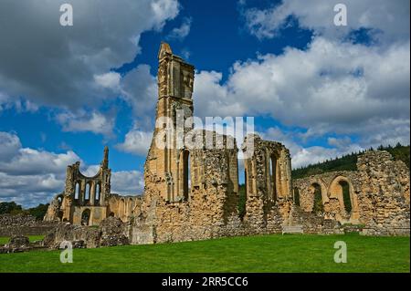 Byland Abbey Ruins, die zum 1. Grades zählende Cistercian Abbey in Rydale, North Yorkshire, ist eine historische Ruine im North Yorkshire Moors National Park Stockfoto
