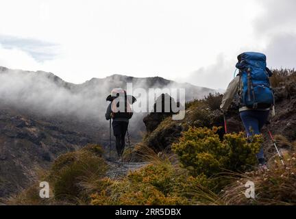 210102 -- TANGARIRO, 2. Januar 2021 -- Backpacker laufen am 2. Januar 2021 durch die Tongariro Alpine Crossing auf der zentralen Nordinsel Neuseelands. Der Tongariro Alpine Crossing liegt im Tongariro National Park, einem zweistufigen Weltkulturerbe, und ist als einer der besten Tageswanderungen in Neuseeland bekannt. NEUSEELAND-TONGARIRO ALPENÜBERQUERUNG GuoxLei PUBLICATIONxNOTxINxCHN Stockfoto