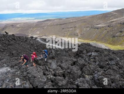 210102 -- TANGARIRO, 2. Januar 2021 -- Backpacker laufen am 2. Januar 2021 durch die Tongariro Alpine Crossing auf der zentralen Nordinsel Neuseelands. Der Tongariro Alpine Crossing liegt im Tongariro National Park, einem zweistufigen Weltkulturerbe, und ist als einer der besten Tageswanderungen in Neuseeland bekannt. NEUSEELAND-TONGARIRO ALPENÜBERQUERUNG GuoxLei PUBLICATIONxNOTxINxCHN Stockfoto