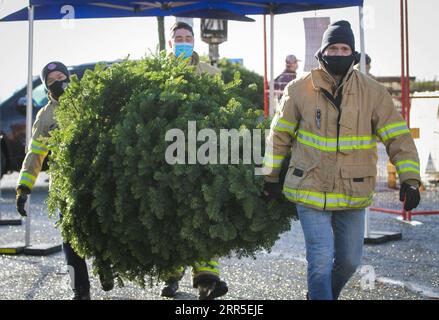 210103 -- RICHMOND CANADA, 3. Januar 2021 -- Feuerwehrmänner tragen einen Weihnachtsbaum beim jährlichen Weihnachtsbaum-Häckseln in Richmond, British Columbia, Kanada, am 3. Januar 2021. Feuerwehrmänner haben sich freiwillig gemeldet, um den Bewohnern beim jährlichen Baumhacken zu helfen, ihre Weihnachtsbäume wiederzuverwerten. Foto von /Xinhua CANADA-RICHMOND-FIREFIGHTERS-CHRISTMAS TREE CHIPPING LiangxSen PUBLICATIONxNOTxINxCHN Stockfoto