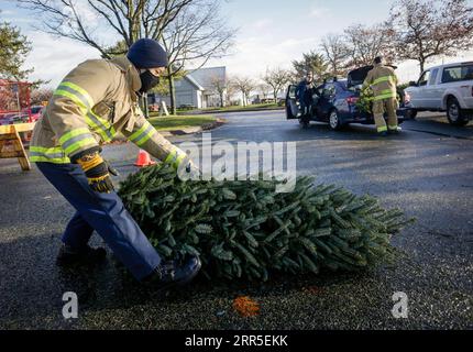 210103 -- RICHMOND CANADA, 3. Januar 2021 -- Ein Feuerwehrmann sammelt einen Weihnachtsbaum beim jährlichen Weihnachtsbaum-Hackerfall in Richmond, British Columbia, Kanada, am 3. Januar 2021. Feuerwehrmänner haben sich freiwillig gemeldet, um den Bewohnern beim jährlichen Baumhacken zu helfen, ihre Weihnachtsbäume wiederzuverwerten. Foto von /Xinhua CANADA-RICHMOND-FIREFIGHTERS-CHRISTMAS TREE CHIPPING LiangxSen PUBLICATIONxNOTxINxCHN Stockfoto