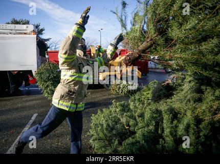 210103 -- RICHMOND CANADA, 3. Januar 2021 -- Ein Feuerwehrmann sammelt einen Weihnachtsbaum beim jährlichen Weihnachtsbaum-Hackerfall in Richmond, British Columbia, Kanada, am 3. Januar 2021. Feuerwehrmänner haben sich freiwillig gemeldet, um den Bewohnern beim jährlichen Baumhacken zu helfen, ihre Weihnachtsbäume wiederzuverwerten. Foto von /Xinhua CANADA-RICHMOND-FIREFIGHTERS-CHRISTMAS TREE CHIPPING LiangxSen PUBLICATIONxNOTxINxCHN Stockfoto