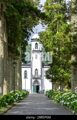 Igreja de São Nicolau oder St. Nikolaus-Kirche, eingerahmt von Platanen und blühenden Hortensiensträuchern im historischen Dorf Sete Cidades, Sao Miguel, Azoren, Portugal. Die 1857 erbaute Kirche befindet sich in der Mitte eines gewaltigen Vulkankraters, der drei Meilen (4,8 km) entfernt liegt. Stockfoto