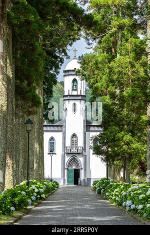 Igreja de São Nicolau oder St. Nikolaus-Kirche, eingerahmt von Platanen und blühenden Hortensiensträuchern im historischen Dorf Sete Cidades, Sao Miguel, Azoren, Portugal. Die 1857 erbaute Kirche befindet sich in der Mitte eines gewaltigen Vulkankraters, der drei Meilen (4,8 km) entfernt liegt. Stockfoto