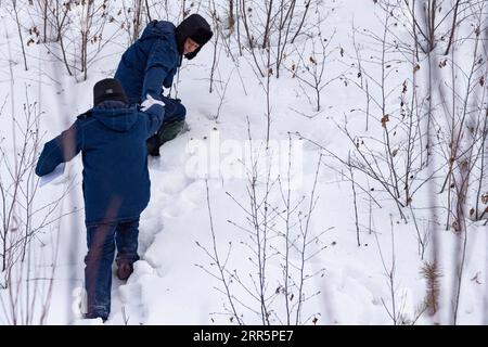 210113 -- MOHE, 13. Januar 2021 -- LYU Jiansheng Upper und Wang Shaoting führen Streifzüge durch die Stromleitungen im Wald in der Nähe des Dorfes Beiji in der Stadt Mohe, nordöstliche Provinz Heilongjiang, 12. Januar 2021. Das Dorf Beiji in Mohe City, der nördlichsten Stadt Chinas, konnte sich bis 2007 nur auf kleine Dieselgeneratoren für die Stromversorgung verlassen. Nach dem Anschluss an das staatliche Stromnetz errichtete Beiji Village die nördlichste Stromversorgungsstation Chinas, die Beiji Power Supply Station. Direktor LYU Jiansheng und Zählerleser Wang Shaoting sind die einzigen zwei Mitarbeiter der Station, für die sie verantwortlich sind Stockfoto