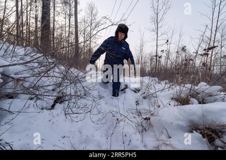 210113 -- MOHE, 13. Januar 2021 -- Wang Shaoting führt Streifzüge durch die Stromleitung im Wald in der Nähe des Dorfes Beiji in der Stadt Mohe, Provinz Heilongjiang im Nordosten Chinas, 12. Januar 2021. Das Dorf Beiji in Mohe City, der nördlichsten Stadt Chinas, konnte sich bis 2007 nur auf kleine Dieselgeneratoren für die Stromversorgung verlassen. Nach dem Anschluss an das staatliche Stromnetz errichtete Beiji Village die nördlichste Stromversorgungsstation Chinas, die Beiji Power Supply Station. Direktor LYU Jiansheng und Zählerleser Wang Shaoting sind die einzigen zwei Mitarbeiter des Bahnhofs, der für mehr als 20 Kilometer verantwortlich ist Stockfoto