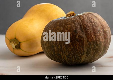 Ein Butternusskürbis und ein Kabocha-Kürbis. Studio-Aufnahme. Stockfoto
