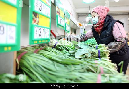 210117 -- SHENYANG, 17. Januar 2021 -- Eigentümer eines Supermarktes des ehemaligen Sperrgebiets, organisiert Gemüse in Shenyang, Provinz Liaoning im Nordosten Chinas, 17. Januar 2021. Gebiete mit mittlerem Risiko in den wichtigsten Sperrgebieten Tawan und Minglian in Shenyang wurden auf Gebiete mit geringem Risiko herabgestuft, da alle Proben, die aus mehreren Runden von Nukleinsäuretests in den Gebieten entnommen wurden, negativ waren. Die Sperrung der wichtigsten Sperrgebiete wurde am Sonntag aufgehoben. CHINA-LIAONING-SHENYANG-COVID-19-LOCKDOWN-LIFT CN YAOXJIANFENG PUBLICATIONXNOTXINXCHN Stockfoto