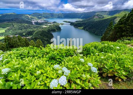 Die Zwillingsseen von Sete Cidades in dem massiven Krater eines ruhenden Stratovulkans, eingerahmt von blauen Hortensienblüten, in Sao Miguel, Azoren, Portugal. Die Seen Blue Lake und Green Lake zeigen aufgrund der Sonnen-Reflexion unterschiedliche Farben. Stockfoto