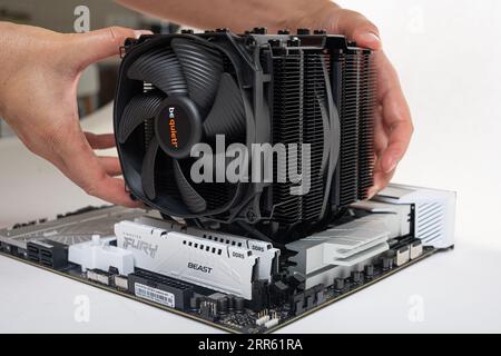 Installieren eines BE Quiet CPU-Kühlers Dark Rock Pro 4 auf der Hauptplatine. Stockfoto