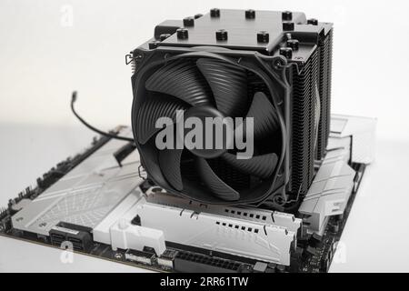 Installieren eines großen Kühlers auf einem Computerprozessor. Stockfoto