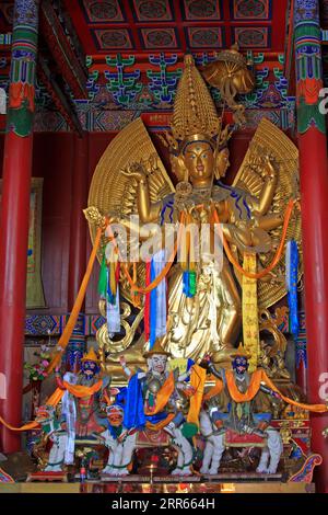 Hohhot City - 6. Februar: Die große weiße Tara-Statue in Dazhao Lamasery, am 6. Februar 2015, Hohhot City, Innere Mongolei autonome Region, China Stockfoto