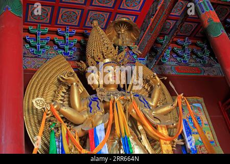 Hohhot City - 6. Februar: Die große weiße Tara-Statue in Dazhao Lamasery, am 6. Februar 2015, Hohhot City, Innere Mongolei autonome Region, China Stockfoto