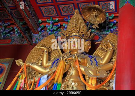 Hohhot City - 6. Februar: Die große weiße Tara-Statue in Dazhao Lamasery, am 6. Februar 2015, Hohhot City, Innere Mongolei autonome Region, China Stockfoto