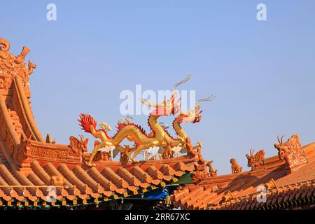 drachenskulptur in einem Tempel, Nahaufnahme des Fotos Stockfoto