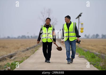 210131 -- NANCHANG, 31. Januar 2021 -- Lei Xiaoyong R und sein Kollege patrouillieren auf der Kangshan Farm im Yugan County, ostchinesische Provinz Jiangxi, 30. Januar 2021. LEI Xiaoyong ist Leiter der Wildtier- und Pflanzenschutzstation der Forstverwaltung des Yugan County. Eine der Aufgaben von Lei und seinen Kollegen ist es, Zugvögel am Poyang-See zu schützen, dem größten Süßwassersee Chinas und einem wichtigen Überwinterungsort für Wasservögel in Asien. In diesem Winter flog eine große Anzahl von weißen Kranichen zum Überwintern zur Kangshan Farm in Yugan, mit fast 3.000 auf dem Gipfel. Lokaler Autor Stockfoto