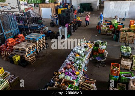 Marilia, Sao Paulo, Brasilien. September 2023. Blick von oben auf den Markt im CEAGESP-Schuppen, wo Produkte wie Obst, Blätter und Gemüse verkauft werden, i Stockfoto