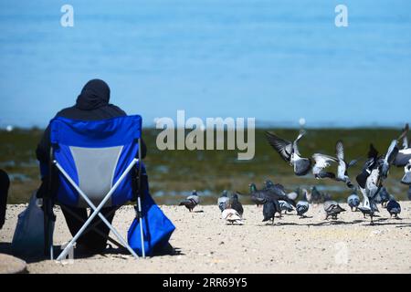 210202 -- HAUPTSTADT-GOUVERNEMENT, 2. Februar 2021 -- Tauben werden an einem Strand im Hauptstadt-Gouvernement, Kuwait, 2. Februar 2021 gesehen. Foto von /Xinhua KUWAIT-HAUPTSTADT GOUVERNEMENT-STRAND BLICK Asad PUBLICATIONxNOTxINxCHN Stockfoto