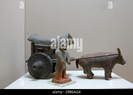 Ochsenkarts-Töpferfigur im Museum, Nahaufnahme des Fotos Stockfoto