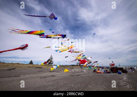 210206 -- WELLINGTON, 6. Februar 2021 -- Menschen fliegen Drachen während des 9. Otaki Kite Festivals am Strand von Otaki, Neuseeland, 6. Februar 2021. Hunderte bunte Drachen flogen am Samstag am Himmel von Wellingtons Otaki Beach. Diese Kites wurden von lokalen Designern unter der Initiative des China Cultural Centre in Wellington gemacht, das das dritte Jahr in Folge an diesem Festival teilnahm und bei den Zuschauern große Aufmerksamkeit und Zuneigung fand. Foto: /Xinhua NEW ZEALAND-WELLINGTON-KITE FESTIVAL ZhangxJianyong PUBLICATIONxNOTxINxCHN Stockfoto