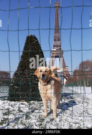 210211 -- PARIS, 11. Februar 2021 -- Ein Hund ist nach Schneefall auf dem Champ de Mars in Paris, Frankreich, 10. Februar 2021 abgebildet. Zwölf Regionen Frankreichs wurden aufgrund von Schneefällen und Eis in orange gemeldet, nachdem eine bemerkenswerte Schneesituation die nordöstlichen Departements des Landes getroffen hatte, teilte die Wetteragentur Meteo France am Mittwoch mit. FRANCE-PARIS-COLD-WEATHER GaoxJing PUBLICATIONxNOTxINxCHN Stockfoto