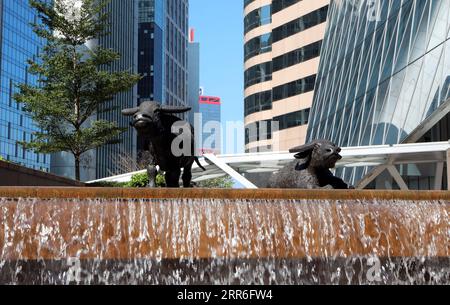 210213 -- PEKING, 13. Februar 2021 -- Foto aufgenommen am 29. Dezember 2017 zeigt die Ochsenstatuen auf dem Exchange Square in Hongkong, Südchina. Das chinesische Tierkreiszeichen wird von 12 Tieren repräsentiert, um die Mondjahre zu erfassen und die Eigenschaften der Menschen zu reflektieren. Das Jahr 2021 ist laut chinesischem Tierkreiszeichen das Jahr des Ochsen. JAHR DER OX-CITY-SKIZZENSTATUE LIXPENG PUBLICATIONXNOTXINXCHN Stockfoto