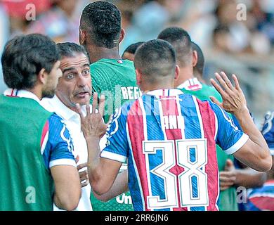 Salvador, Brasilien. September 2023. Salvador - BA: 06/09/2023 . Trainer Renato Paiva tritt am Mittwoch (6) von Esporte Clube Bahia zurück. Insgesamt gab es 51 Spiele, mit 20 Triumphen, 15 Unentschieden und 16 Niederlagen &#x2013; 49% Erfolg &#x2013;, zusätzlich zum Staatstitel im April. Foto: Jhony Pinho Kredit: AGIF/Alamy Live News Stockfoto