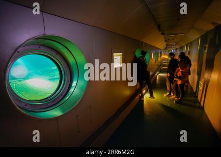 210221 -- CHONGQING, 21. Februar 2021 -- Menschen besuchen das Baiheliang Museum, Chinas erstes Unterwassermuseum, das etwa 40 Meter unter der Oberfläche in den Oberläufen des Yangtze vor der Küste von Fuling City, südwestchinesische Gemeinde Chongqing, 21. Februar 2021 erbaut wurde. Das Baiheliang Museum wurde kürzlich nach einer viermonatigen Renovierung wieder eröffnet. Baiheliang, wörtlich White Crane Ridge, ist ein 1.600 Meter langer und 25 Meter breiter, glatter Steinrücken mit Inschriften über Chinas längsten Fluss, der von 763 in der Tang-Dynastie bis zum frühen 20. Jahrhundert datiert wurde. Auf dem riesigen Felsen befinden sich 20 Fischskulpturen Stockfoto