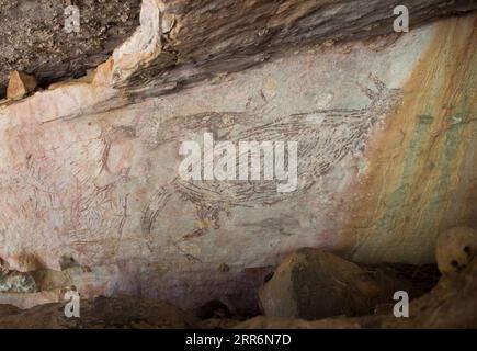 210223 -- SYDNEY, 23. Februar 2021 -- das am 15. Juli 2016 aufgenommene Foto zeigt ein Gemälde eines Kängurus in Kimberley, Australien. Ein zwei Meter langes Gemälde eines Kängurus in der Kimberley-Region in Western Australia wurde als Australiens ältestes intaktes Felsgemälde aus 17.300 Jahren anerkannt. Naturalistische Tierdarstellungen sind ein verbreitetes Thema der ältesten alteingesessenen Felskunst der Welt In einem Artikel, der am Dienstag in Nature Human Behavior veröffentlicht wurde, verwendete ein Forscherteam unter der Leitung der Universität Melbourne die Radiokarbon-Datierung von 27 Schlammwespennestern von 16 ähnlichen Gemälden in Kimberley bis ide Stockfoto