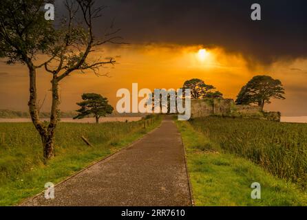 Castlelough ruinierte ein befestigtes Turmhaus auf einem Golfplatz auf einem niedrigen Vorgebirge (einst eine Insel) in Lough Leane in Killarney, im County Kerry in Irland Stockfoto