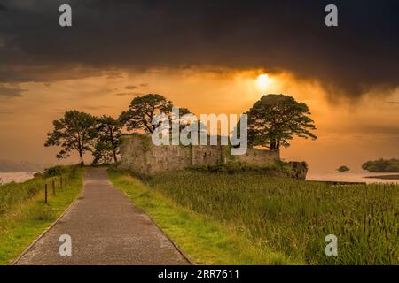 Castlelough ruinierte ein befestigtes Turmhaus auf einem Golfplatz auf einem niedrigen Vorgebirge (einst eine Insel) in Lough Leane in Killarney, im County Kerry in Irland Stockfoto