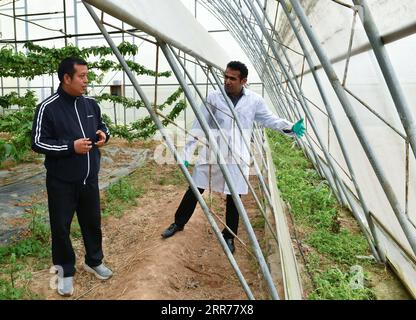 210318 -- XI AN, 18. März 2021 -- Abdul Ghaffar Shar R spricht mit dem Mitarbeiter Li Haiping über Gewächshausausrüstung in einer Genossenschaft der landwirtschaftlichen Hightech-Industriedemonstrationszone Yangling in der nordwestchinesischen Provinz Shaanxi, 17. März 2021. Abdul Ghaffar Shar, 30, ist ein pakistanischer Doktorand an der Nordwest-Land- und Forstuniversität NWAFU in China. Shar betreibt Pflanzenernährungsforschung für seinen Doktortitel. Nach seinem Bachelor-Abschluss in Landwirtschaft an der Sindh Agriculture University in Pakistan im Jahr 2014 entschied sich Shar, sein Studium in der chinesischen NWAFU fortzusetzen. S Stockfoto
