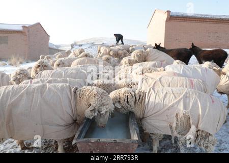 210321 -- SUNAN, 21. März 2021 -- Gu Zhengli arbeitet an einem Wasserversorgungsort in der Gemeinde Dahe, Yugu Autonomous County of Sunan, nordwestchinesische Provinz Gansu, 20. März 2021. Gu Zhengli, 59, arbeitet seit 42 Jahren an der Front des Tanggaer Water Conservancy Project in der Gemeinde Dahe, um die Sicherheit des Trinkwassers für die Menschen und die Tiere vor Ort zu gewährleisten. Da die jährlichen Niederschläge in der Stadt nur 150 bis 300 Millimeter betragen, ist das Tanggaer Water Conservancy Project buchstäblich die Lebensader der örtlichen Hirten. Jeden Morgen steht Gu früh auf und betreibt eine Pumpe, um Wasser von der Pum zu fördern Stockfoto