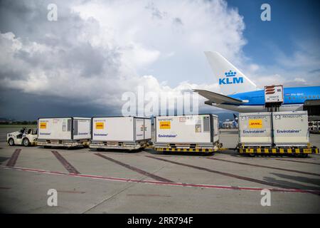 210321 -- BOGOTA, 21. März 2021 -- Foto vom 20. März 2021 zeigt eine neue Serie von COVID-19-Impfstoffen des chinesischen Pharmaunternehmens Sinovac am El Dorado International Airport in Bogota, Kolumbien. Am Samstag traf eine neue Reihe von COVID-19-Impfstoffen des chinesischen Unternehmens Sinovac in Bogota ein. /Handout über Xinhua COLOMBIA-VACCINE-NEW BATCH ARRIVAL ColombianxPresidentialxOffice PUBLICATIONxNOTxINxCHN Stockfoto