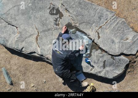 210323 -- SUNAN, 23. März 2021 -- du Chengfeng reibt für ein Felsmalerei auf dem Leishan-Berg im Yugu Autonomous County of Sunan, nordwestchinesische Provinz Gansu, 22. März 2021. Du Chengfeng, 45, wurde aus einer Hirtenfamilie geboren. Aus Interesse und Leidenschaft hat er in den letzten 20 Jahren über 12.000 Felsmalereien auf den Qilian Mountains gesammelt. Er verbringt oft über 100 Tage im Jahr auf der Suche nach verschiedenen Felsmalereien im tiefen Berg. Du begann 2012 im Kultursektor zu arbeiten. Auf Vorschlag der lokalen Behörden zur Verwaltung der kulturellen Herita Stockfoto