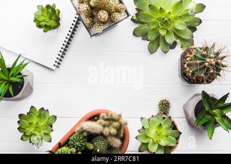 Von oben gesehen Pflanzen Holzfläche Stockfoto