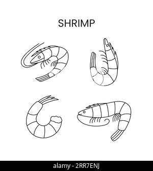 Garnelensymbole setzen Vektor. Meeresfrüchte-Illustration. Stock Vektor