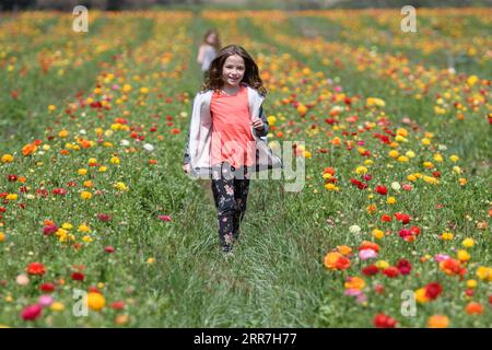 210329 -- KIRYAT SHMONA, 29. März 2021 -- Junge Mädchen haben Spaß in einem Buttercup-Blumenfeld in der Nähe der nördlichen israelischen Stadt Kiryat Shmona am 28. März 2021. Via Xinhua ISRAEL-KIRYAT SHMONA-BUTTERCUP BLUME AyalxMargolin/JINI PUBLICATIONxNOTxINxCHN Stockfoto