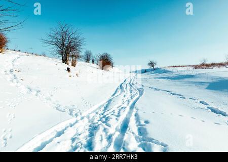 Winterliche Landschaft mit modifizierter Langlaufloipe Stockfoto